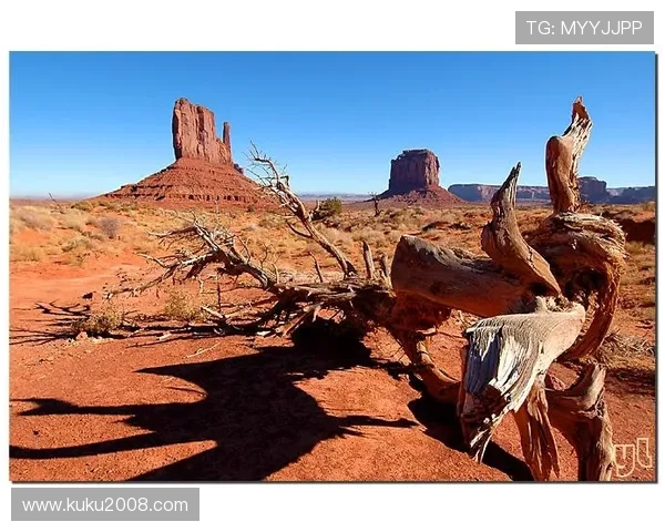 卡里克驱车160英里看加布里埃尔惊艳全场